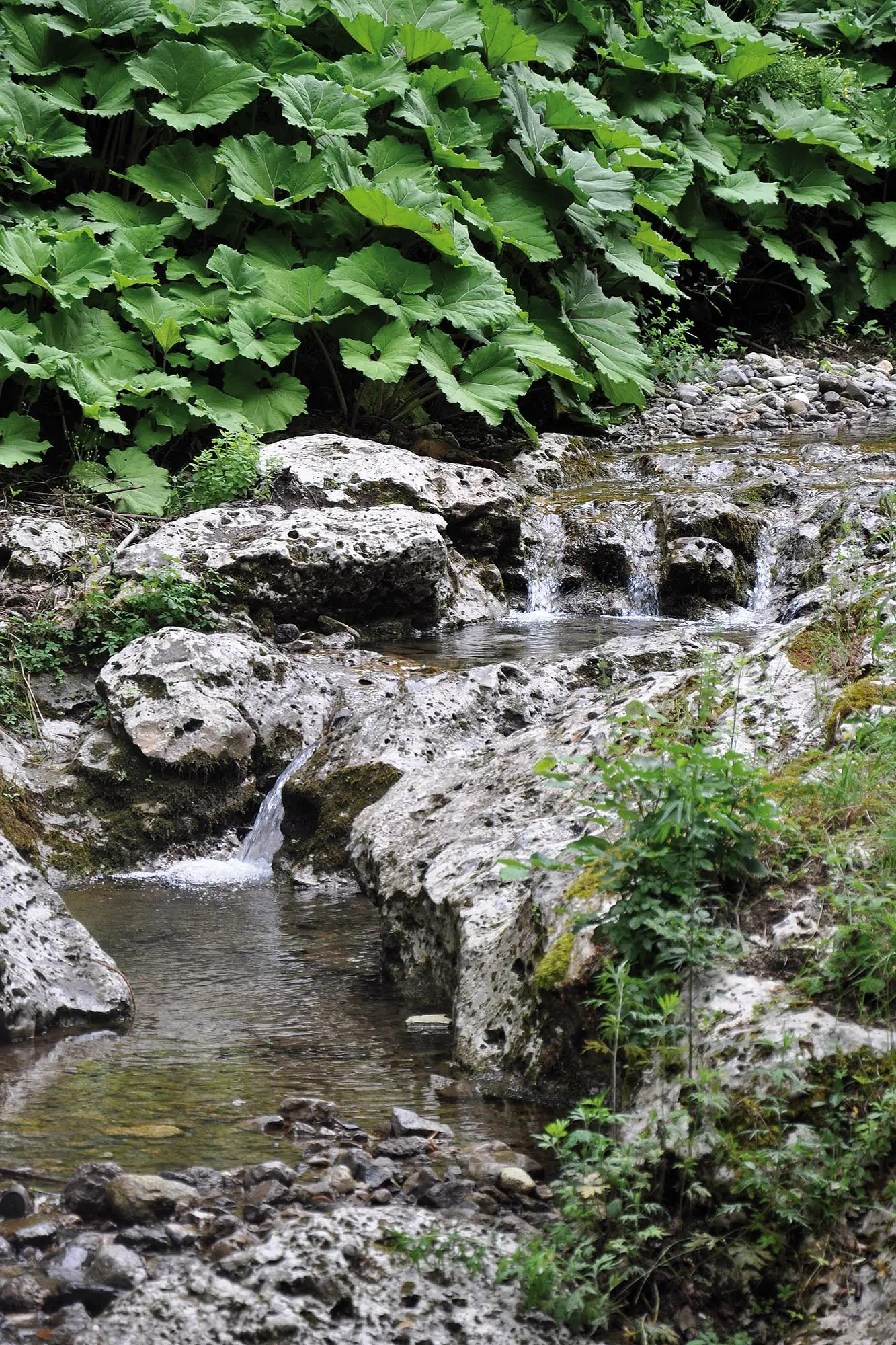 Potok w Valle dei Mulini pod Gragnano