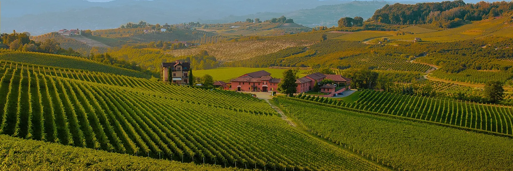 Winnice Tenuta Carretta w Piobesi d'Alba